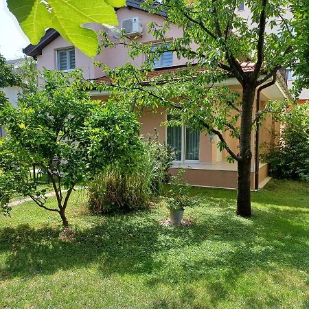 Villa Tamara With Garden And River View - Free Private Parking - Garage Μόσταρ Εξωτερικό φωτογραφία