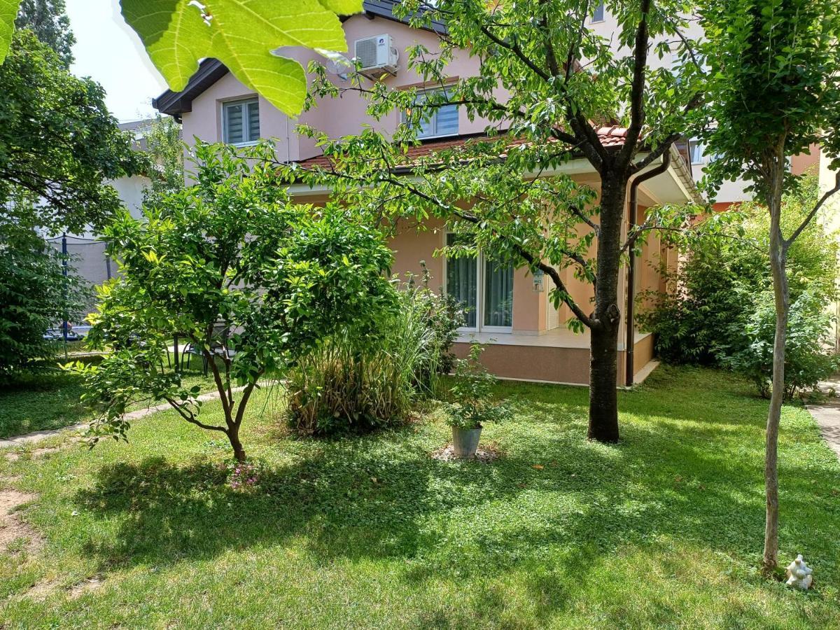 Villa Tamara With Garden And River View - Free Private Parking - Garage Μόσταρ Εξωτερικό φωτογραφία